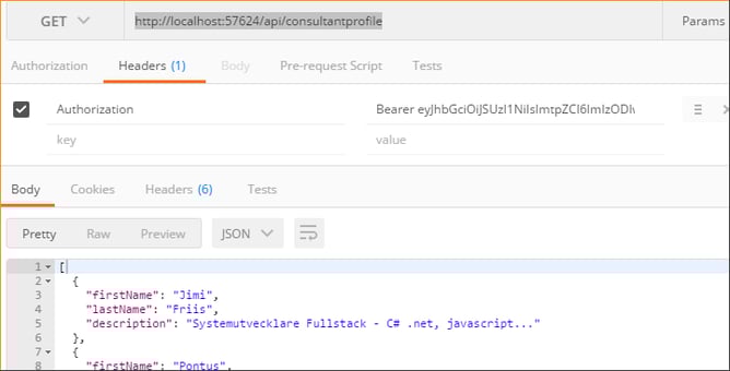 api-call_bearer-token.png
