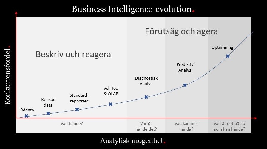 bi_evolution